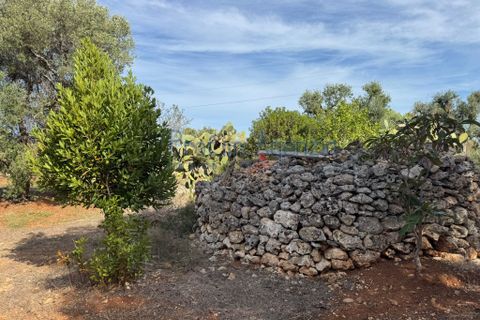 Helårsgrund i Carovigno, Brindisi, Carovigno - € 68.000 | Ref: 122778 - foto 4